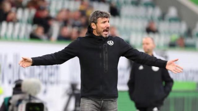 近年来类似 近年来类似